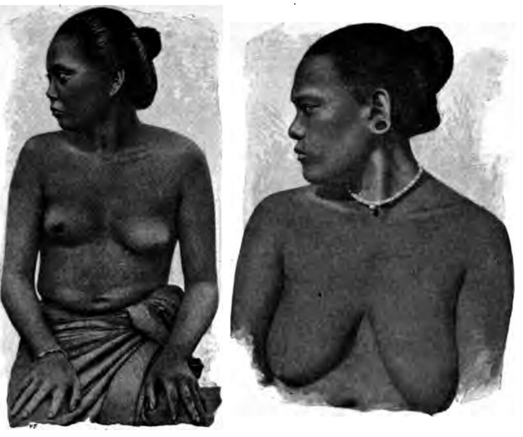 Women in Enggano (Elio Modigliani)