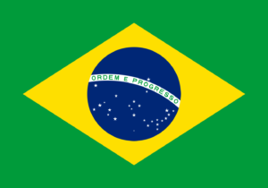 brazil flag think borderless